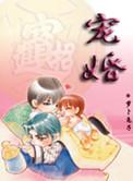 宠婚