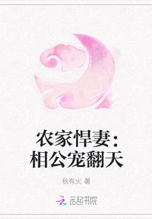 农家悍妻：相公宠翻天