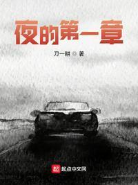 夜的第一章