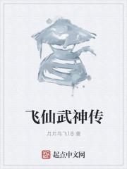 飞仙武神传