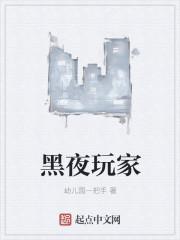 黑夜玩家