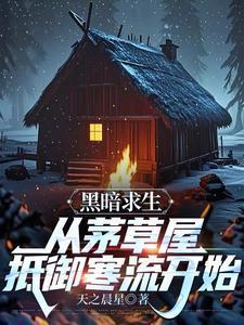 黑暗求生：从茅草屋抵御寒流开始