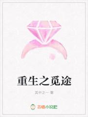 重生之觅途
