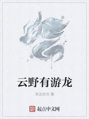 云野有游龙